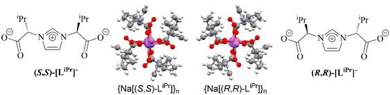 Imagen que contiene exterior, hombre, collar, saltar
Descripción generada automáticamente